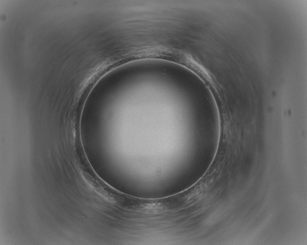 X0000074940059200609081401