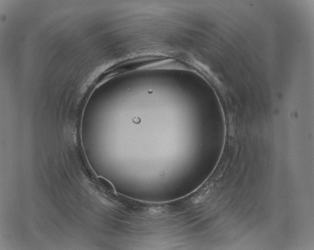 X0000074940060200609081401