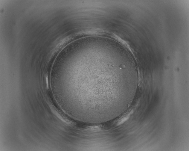 X0000074940061200609081401