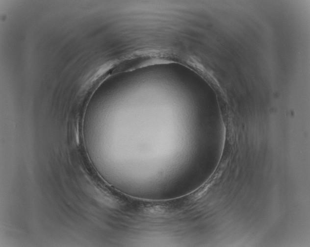 X0000074940062200609081401