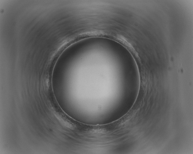 X0000074940063200609081401