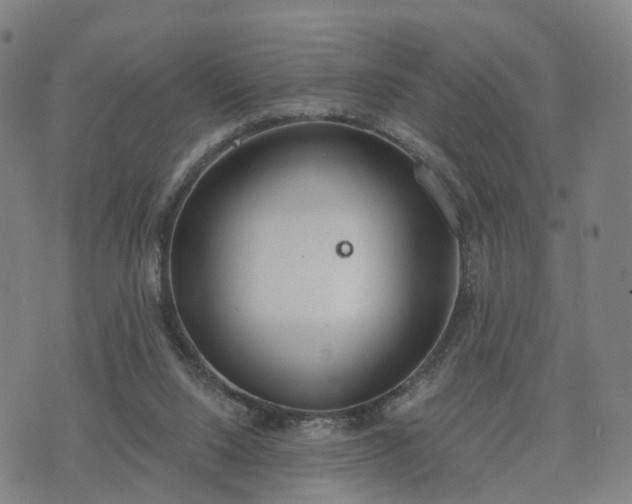 X0000074940064200609081401