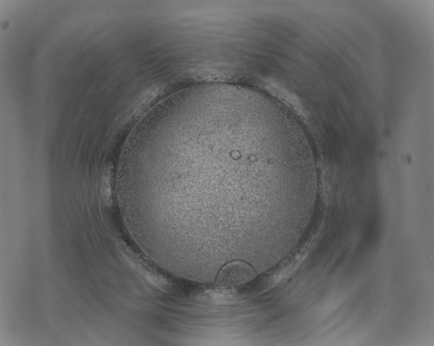 X0000074940065200609081401