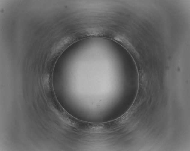 X0000074940066200609081401