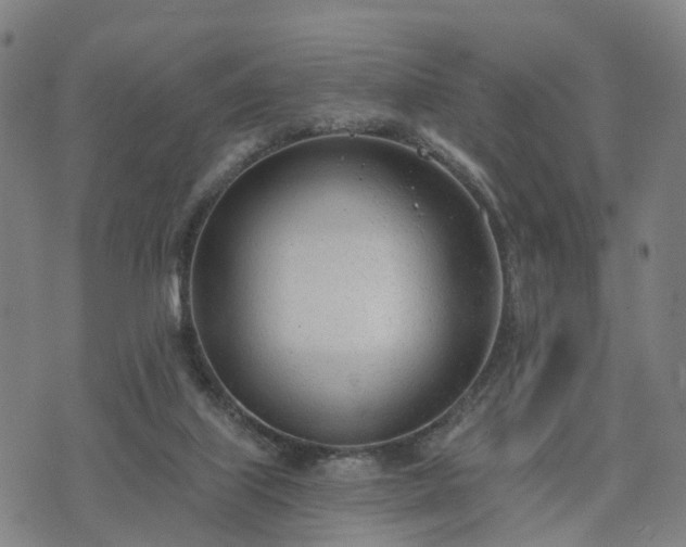 X0000074940067200609081401