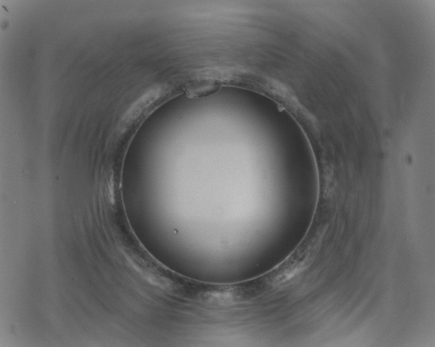 X0000074940068200609081401