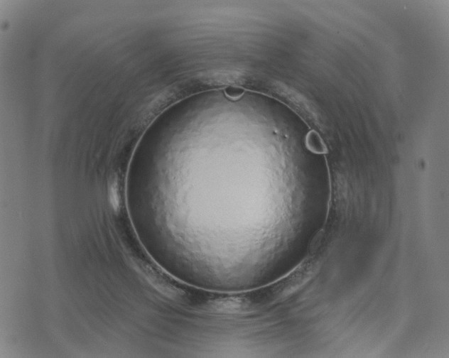 X0000074940069200609081401