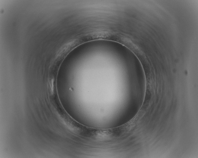 X0000074940070200609081401