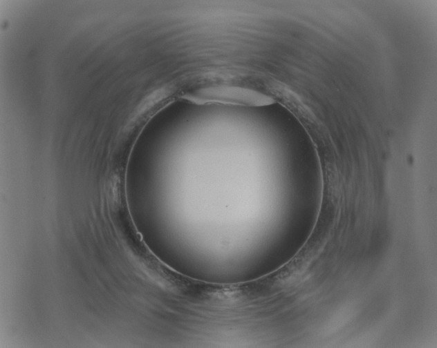 X0000074940071200609081401