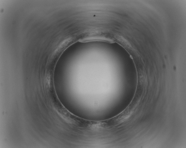 X0000074940072200609081401