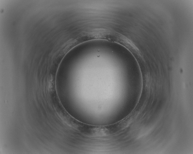 X0000074940073200609081401