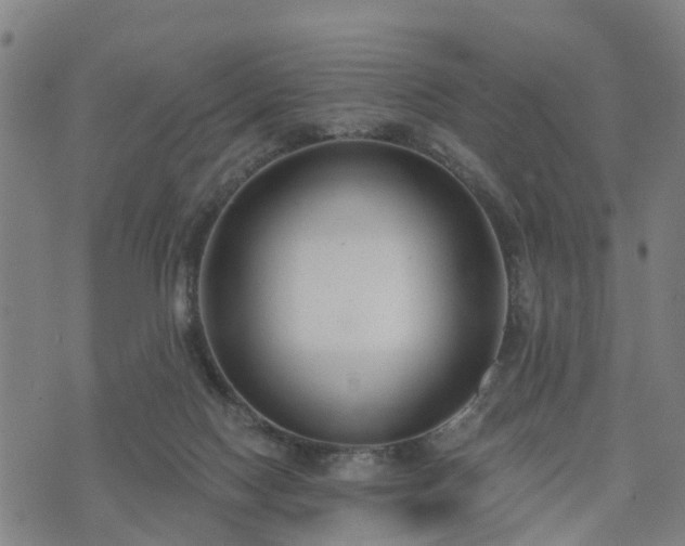 X0000074940074200609081401