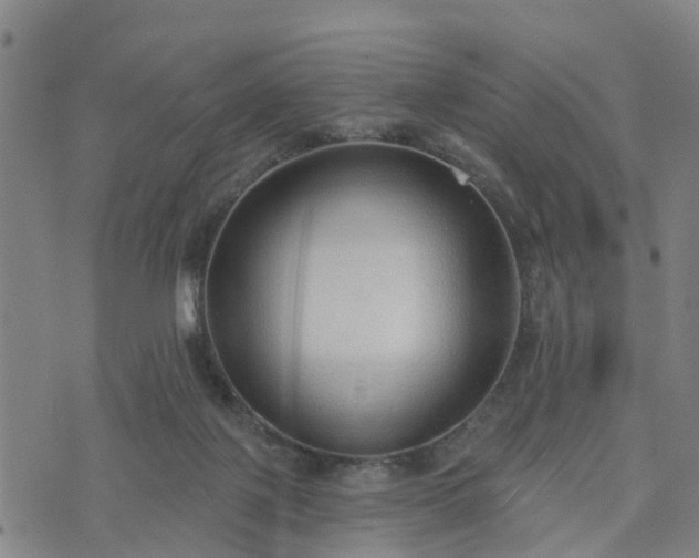 X0000074940075200609081401