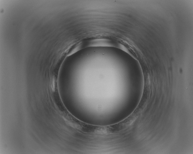 X0000074940076200609081401