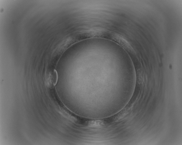 X0000074940077200609081401