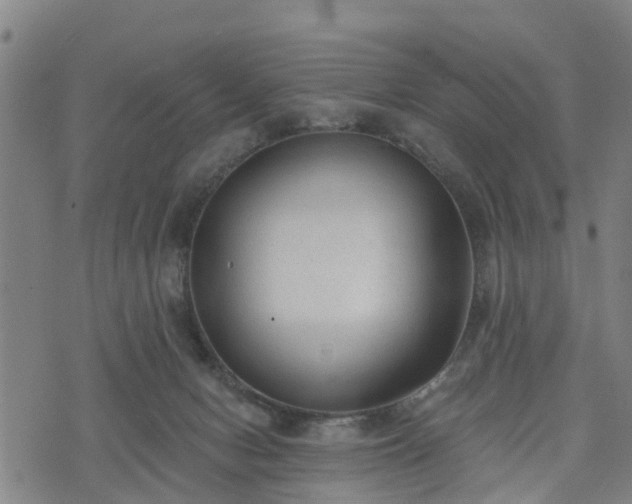 X0000074940078200609081401