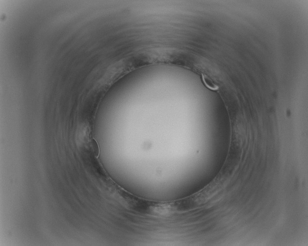 X0000074940079200609081401