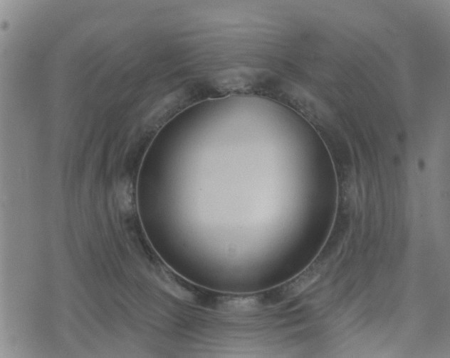 X0000074940081200609081401