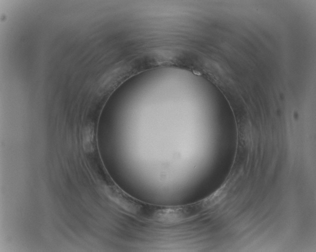 X0000074940082200609081401