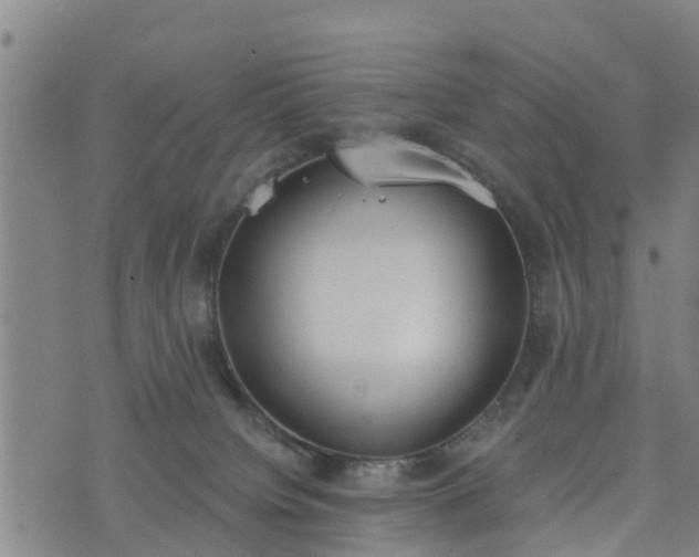 X0000074940084200609081401