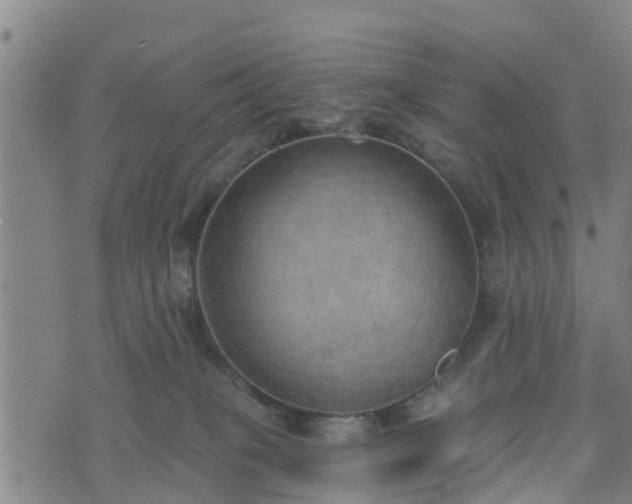 X0000074940085200609081401