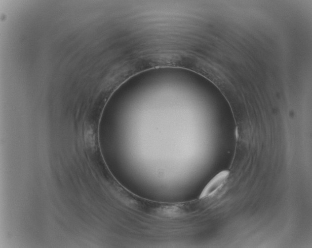 X0000074940086200609081401