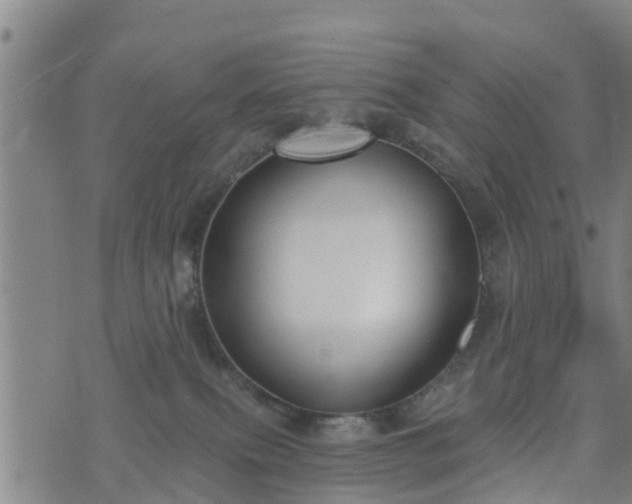 X0000074940087200609081401