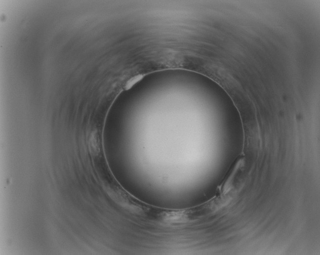 X0000074940088200609081402