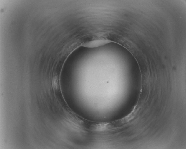 X0000074940090200609081402