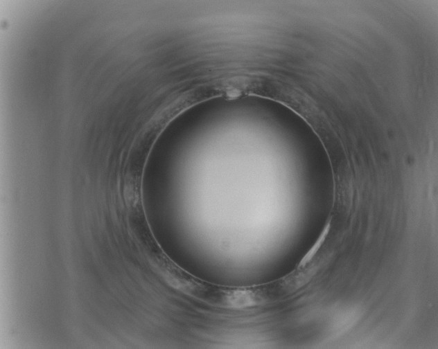 X0000074940091200609081402