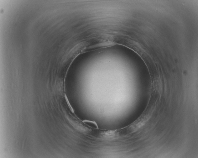 X0000074940092200609081402