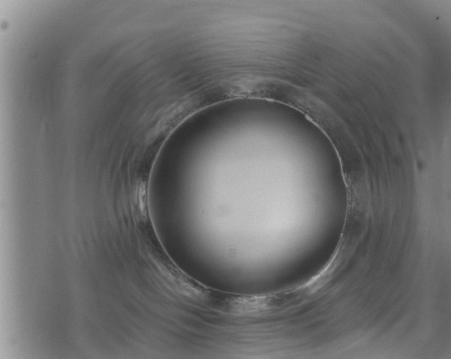 X0000074940094200609081402