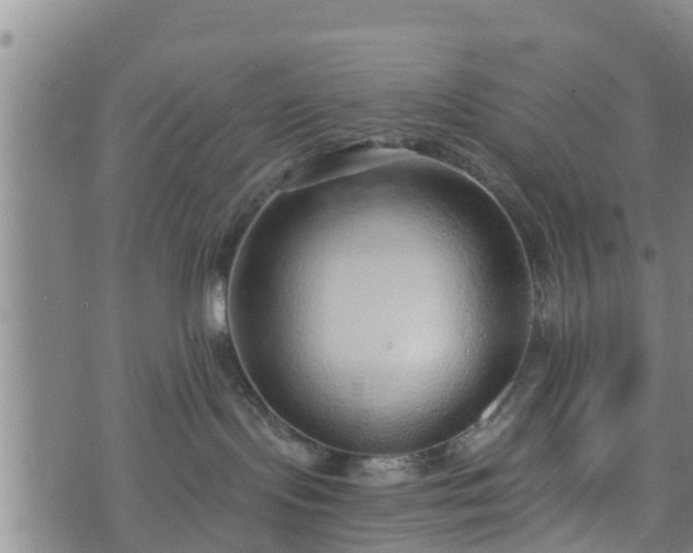 X0000074940095200609081402