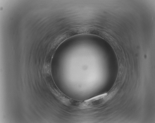 X0000074940096200609081402