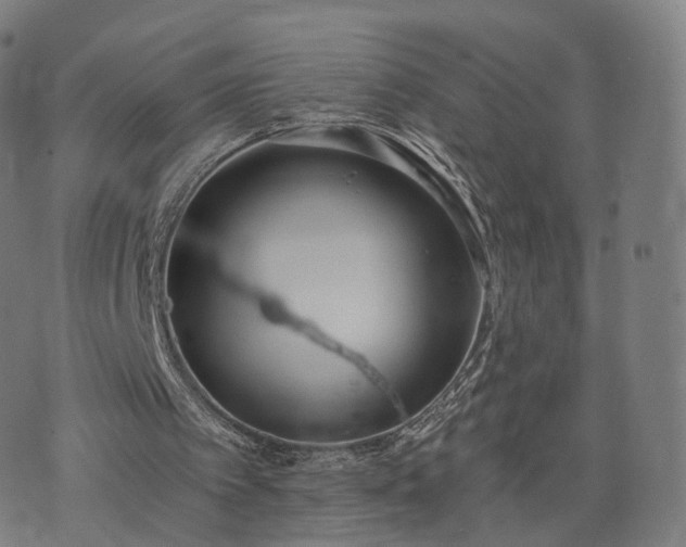 X0000074940097200609081401