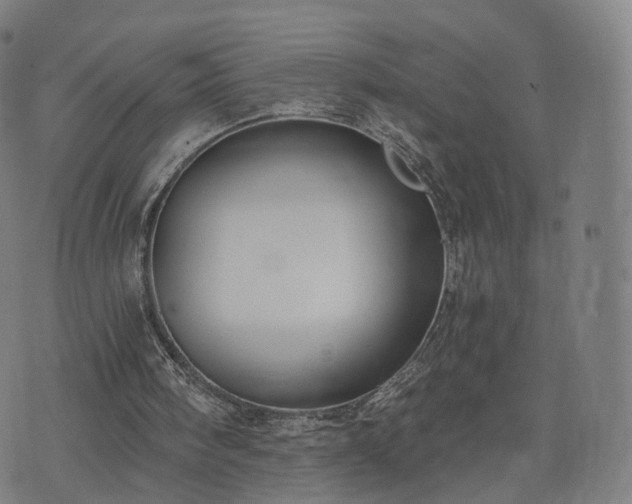 X0000074940098200609081401