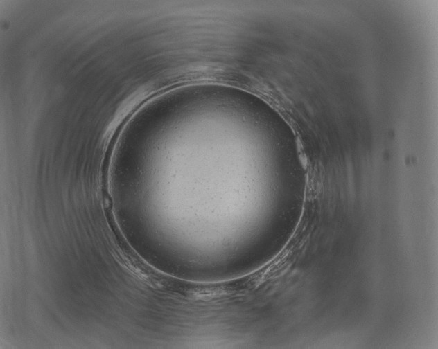 X0000074940099200609081401