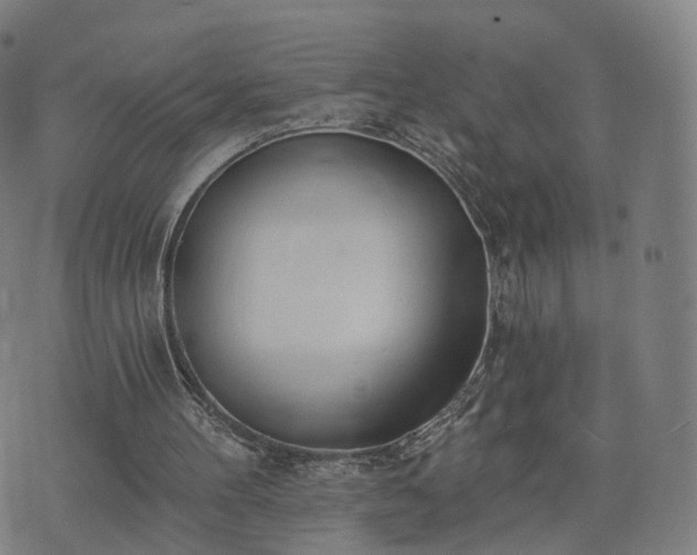 X0000074940100200609081401