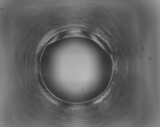 X0000074940101200609081401