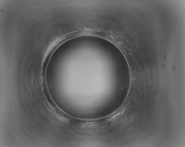 X0000074940102200609081401