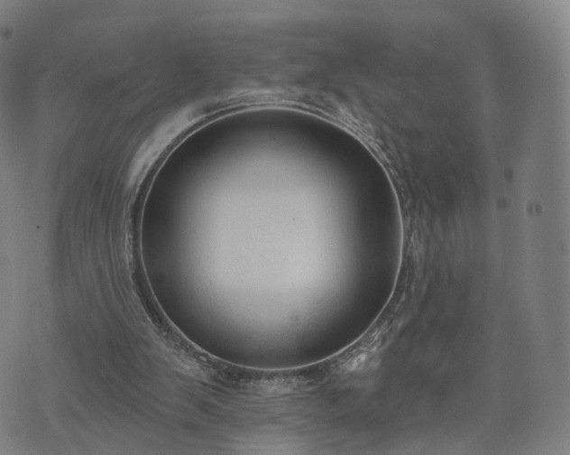 X0000074940103200609081401