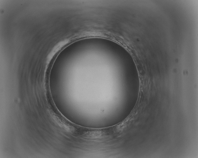 X0000074940104200609081401