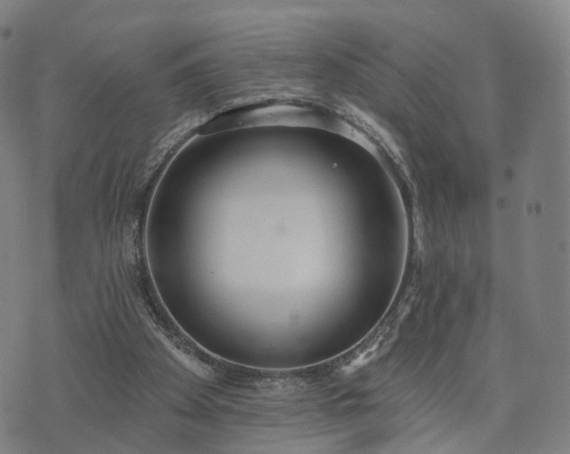 X0000074940105200609081401