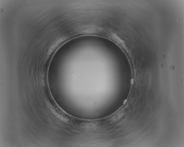 X0000074940106200609081401