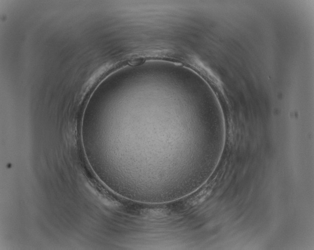 X0000074940107200609081401