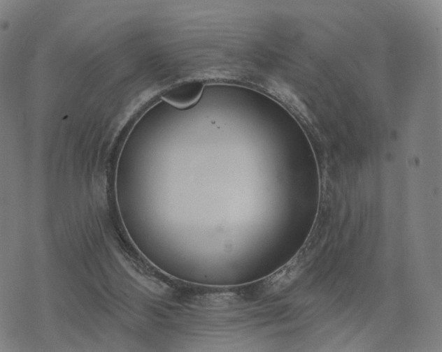 X0000074940108200609081401