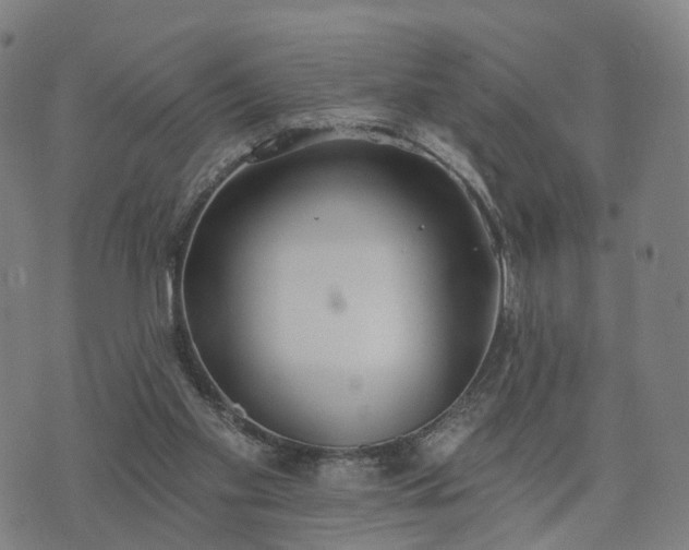 X0000074940109200609081401