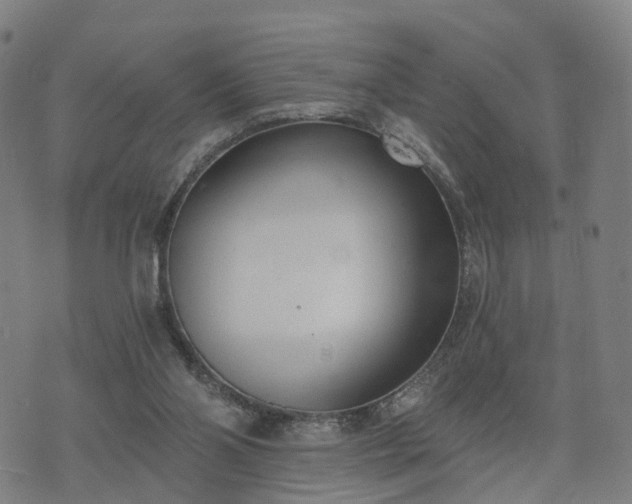 X0000074940110200609081401