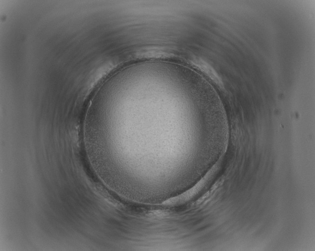 X0000074940111200609081401