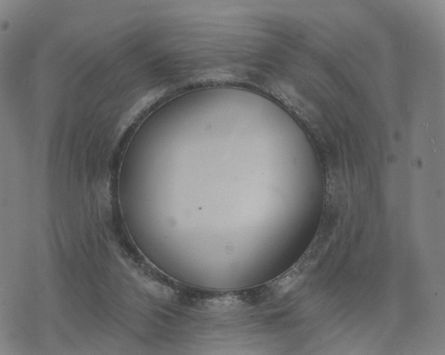 X0000074940112200609081401